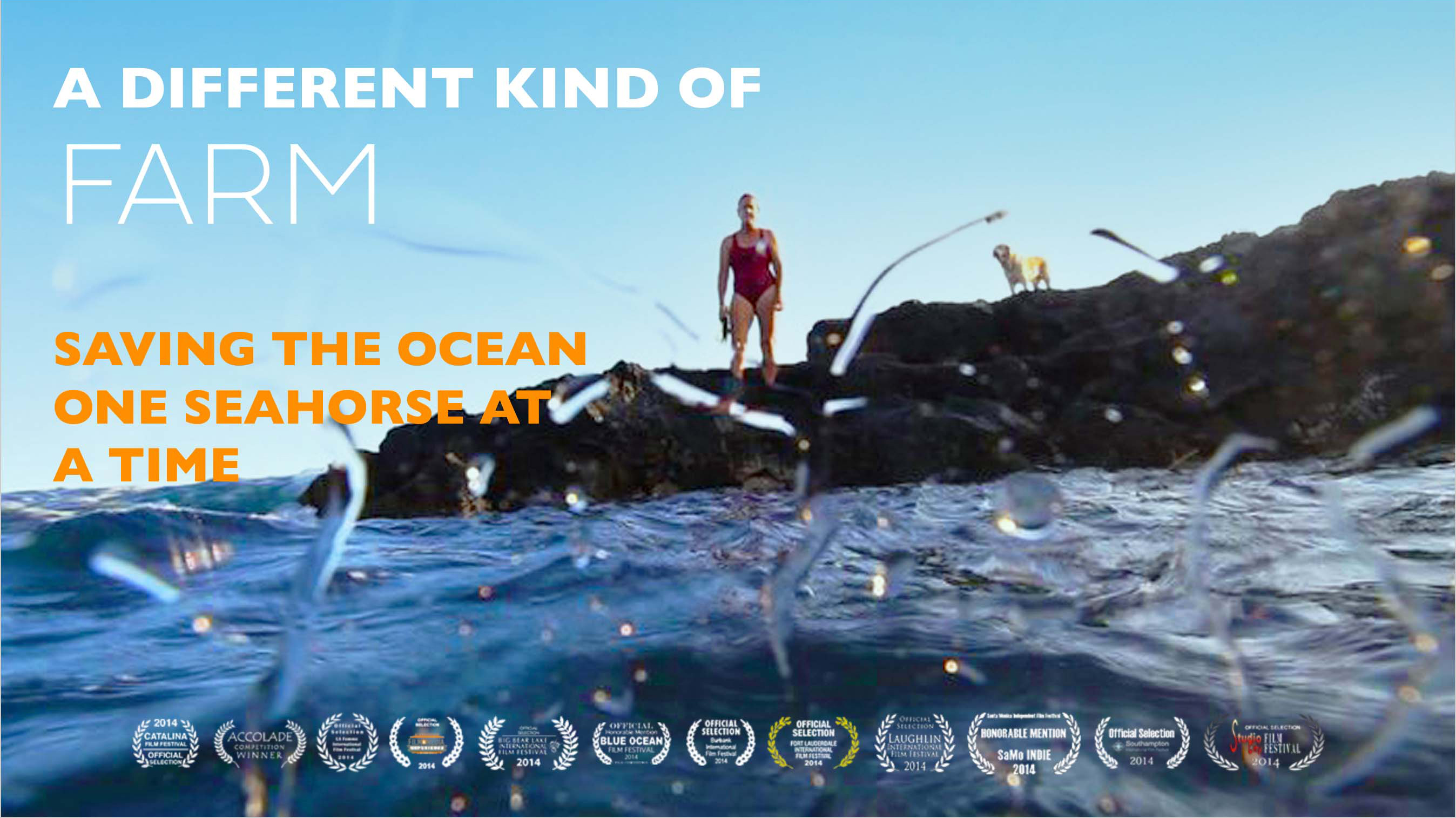 A Different Kind of Farm